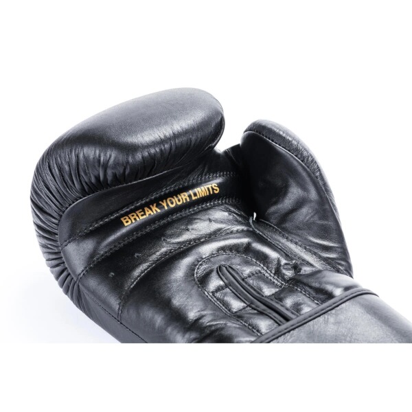 Boxerské rukavice DBX BUSHIDO Striker - Obrázek 8