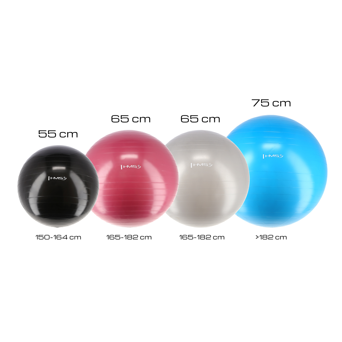 Gymnastický míč HMS YB01N 65 cm šedý - Obrázek 3