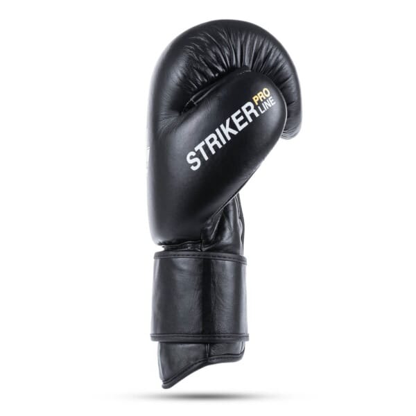 Boxerské rukavice DBX BUSHIDO Striker - Obrázek 2