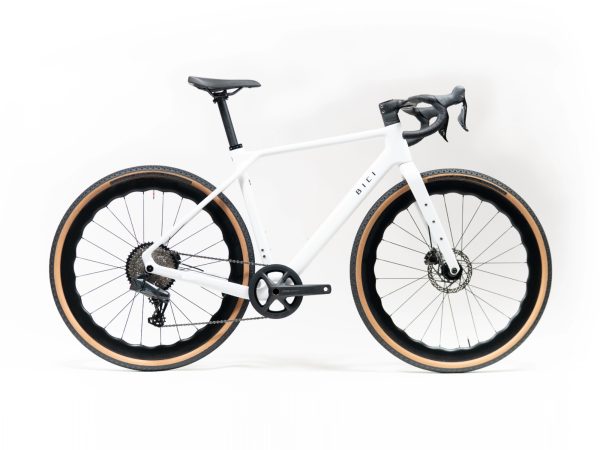 BICI Assietta
